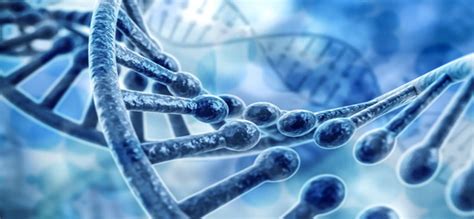 immune system diseases  deficiencies allergy today