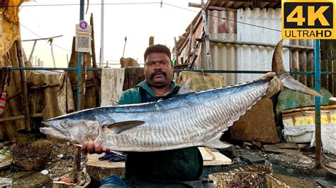 Vanjaram Fish Cutting Video Fishcuttingrs Fishcuttingrs Kasimedu