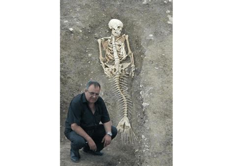 Pago Bay Resident Finds Mermaid Skeleton On His Property Real