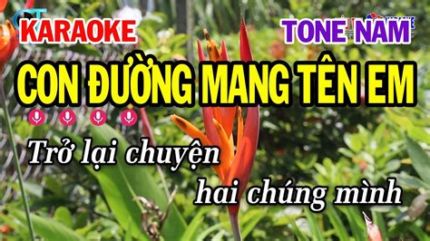 Karaoke Con Ng Mang T N Em Tone Nam Dm Nh C S Ng M I Si U Th