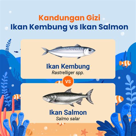 Kandungan Gizi Ikan Kembung Vs Ikan Salmon Indonesia Baik