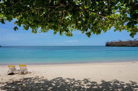 7 Best Beaches In Grenada A Travel Guide Goats On The Road