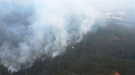 La Pdi Recibi Rdenes De Investigar Incendios Forestales Ocurridos