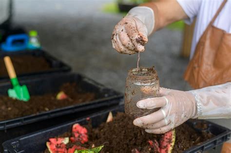 How To Make A Compost Step By Step Guide