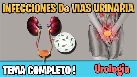 Infecciones De Vias Urinarias Sintomas Diagnostico Tratamiento Ivu