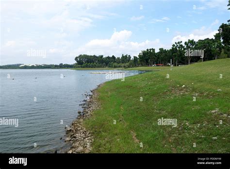 Bedok Reservoir Park. Bedok Reservoir is a reservoir in the eastern part of Singapore Stock ...