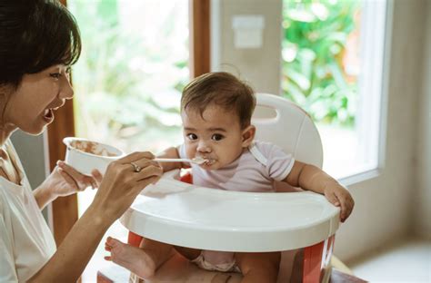 Peran Mpasi Dalam Mencegah Anemia Defisiensi Zat Besi Adb Pada Bayi