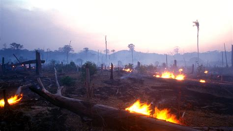 Impact Of The Massive Fires In The Amazon Rainforest