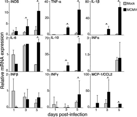 The Relative Mrna Expression Of Inos Cytokines And Ch Open I