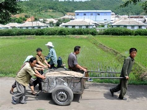 實拍：朝鮮真實的農村生活 每日頭條