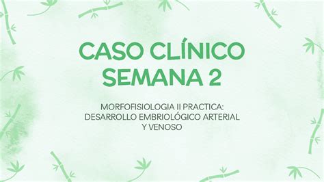 Desarrollo Embriol Gico Del Sistema Arterial Y Venoso Caso Cl Nico