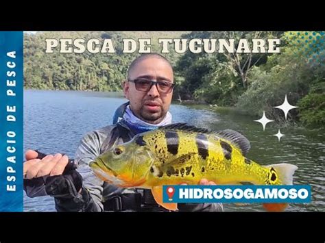 Pesca De Tucunare Con Yo Zuri Crystal Minnow Represa Hidrosogamoso