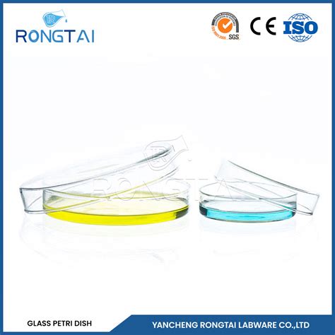 Rongtai Round Lab Petri Dishes Fabricators Glass Petri Dish 90mm China