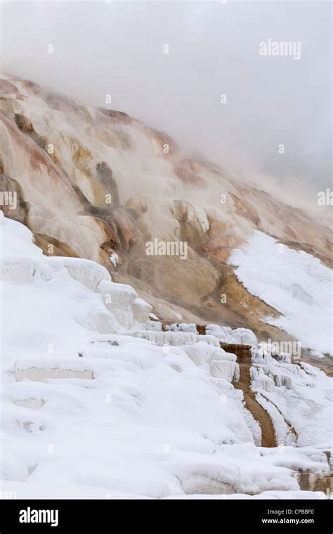 Mammoth Hot Springs, Winter, Yellowstone NP, WY Stock Photo - Alamy