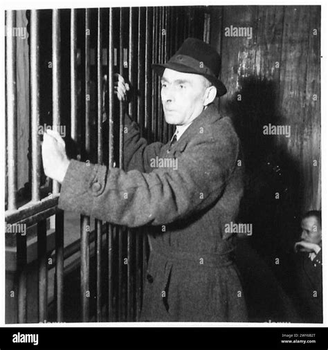 Germans And Collaborators In Zoo Lion S Cage In Antwerp A Belgian