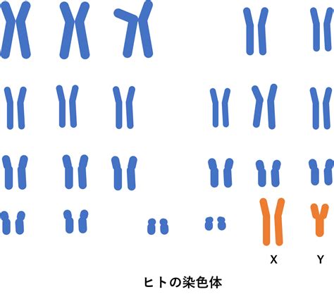 U Are Biomedicalist基礎知識