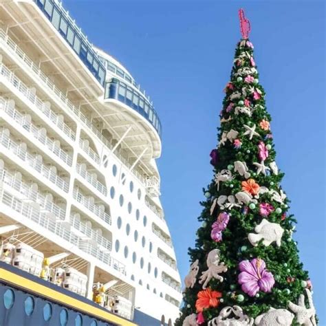 Christmas Cruises From Florida 2024 - Rasia Peggie