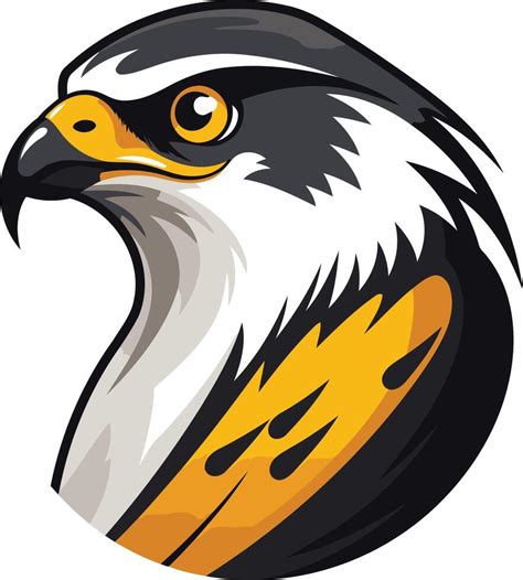 Hawk Head Illustration 49268648 Vector Art At Vecteezy