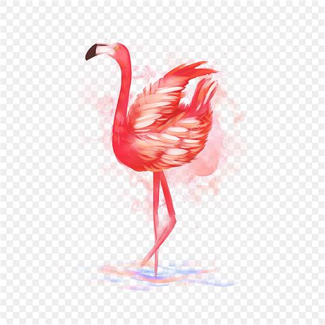 Watercolor Flamingo Png Image Red Watercolor Flamingo Standing Red