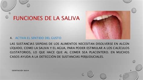 Saliva Odontología