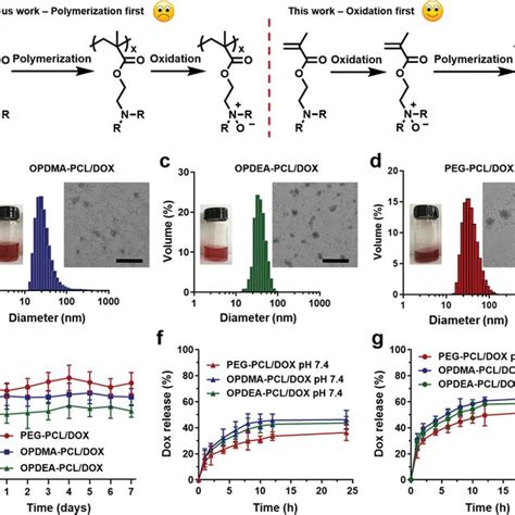 Characterization Of DOXloaded Micelles A Strategies For PTAO