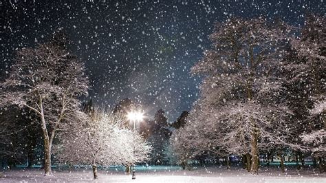 Christmas Snow Scenes X Winter Scenes Hd Wallpaper Pxfuel