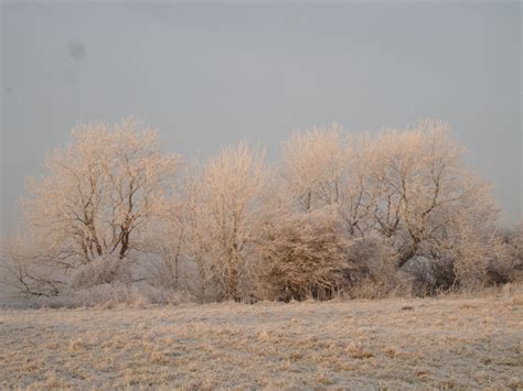 North Stoke: Hoar Frost