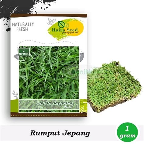 Jual Bibit Benih Rumput Harga Diskon Grosir Benihkita