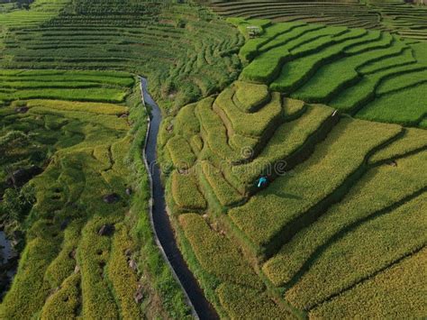 Land Terracing Stock Photo Image Of Cultivation India 12472438