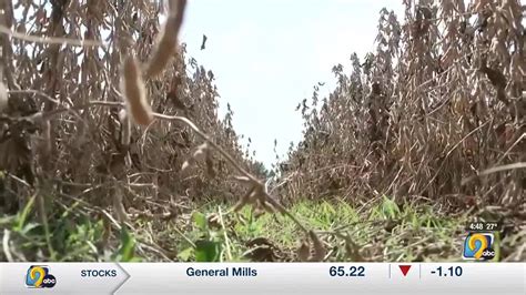 Iowa Farmers Still In Need Of More Rain Amid Ongoing Drought Ottumwa Radio