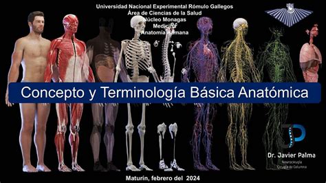 Concepto y Terminología Básica Anatómica uDocz