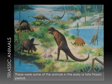 PPT - Triassic Period PowerPoint Presentation, free download - ID:2832279