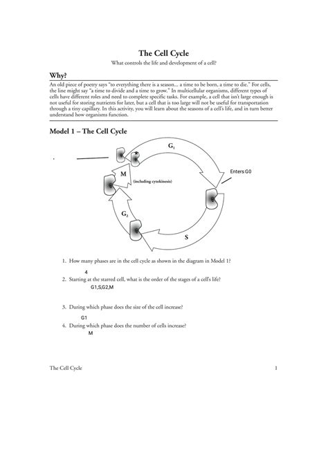 Solution Pogil The Cell Cycle Worksheet Studypool