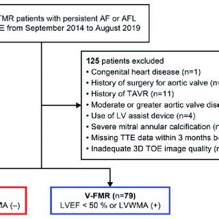 Study Flowchart 3D Three Dimensional AF Atrial Fibrillation AFL