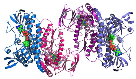 From protein design to self-driving cars: UW researchers win AI prize ...