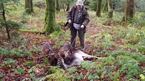 Hunting 2014 - Ballysloe Bavarian Mountain Hounds