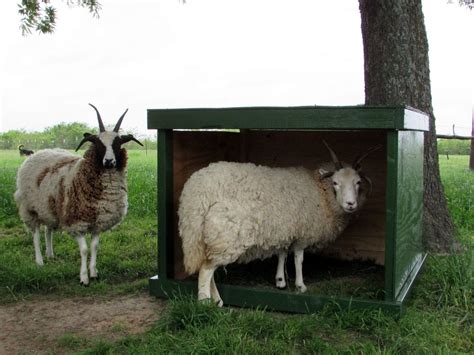 Diy Mobile Sheep Shelter Countryside