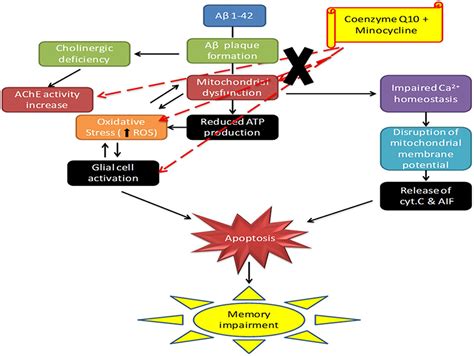 Frontiers Microglial Inhibitory Mechanism Of Coenzyme Q Against A