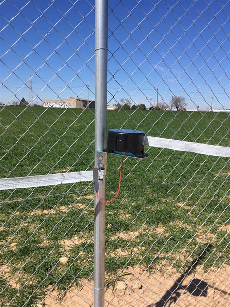 C Mo Funciona Un Pastor El Ctrico Pv Pastores El Ctricos Pastores