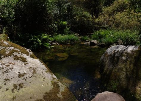 Sugest O De F Rias Serra Do Caramulo E Parque Ambiental Do Bu Aquinho