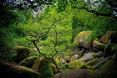 Forêt de Huelgoat Patrice Dardoize Flickr