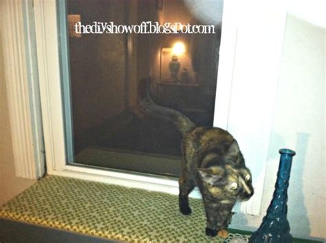 DIY - How to Make a Cat Window PerchDIY Show Off ™ – DIY Decorating and ...