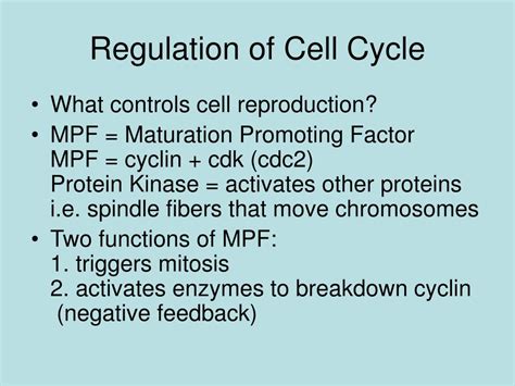 Ppt Prokaryotic Cell Reproduction Binary Fission Powerpoint