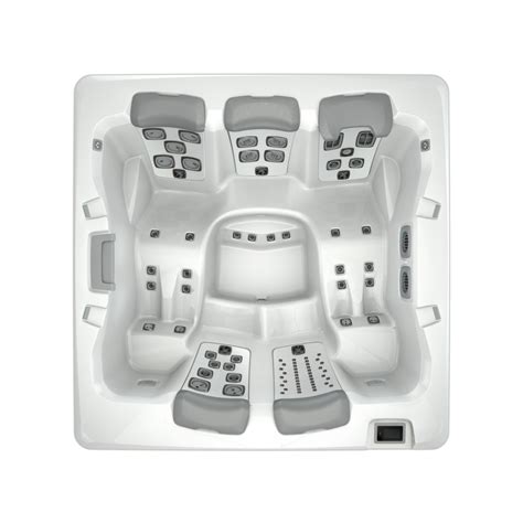 Bullfrog Spas Model A5l Hot Tubs And Swim Spas