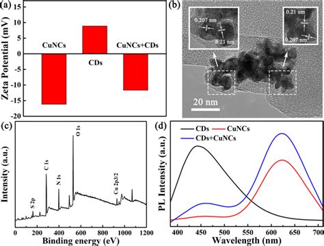 A Zeta Potential Of The Cu Ncs Cds And Cu Ncs Cds Dual Emission