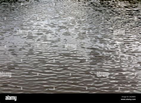 Water ripples on a pond Stock Photo - Alamy