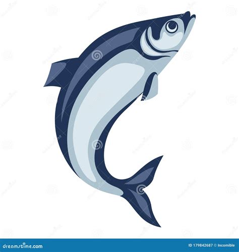 Iwashi Pacific Sardine Japanese Sardine Or Iwashi Herring Fish ...