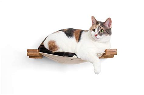 The 15 Best Catastrophicreations Cat Trees Of 2022 [verified] Cherry