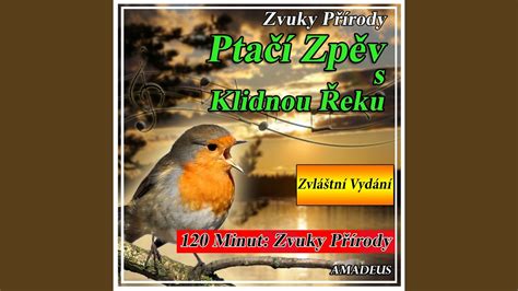 Tropick Prales S Hromy A D Zvuky P Rody Bonus Track Youtube