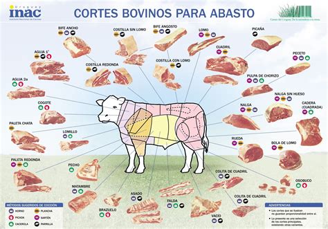 Cortes De Carne Diagrama